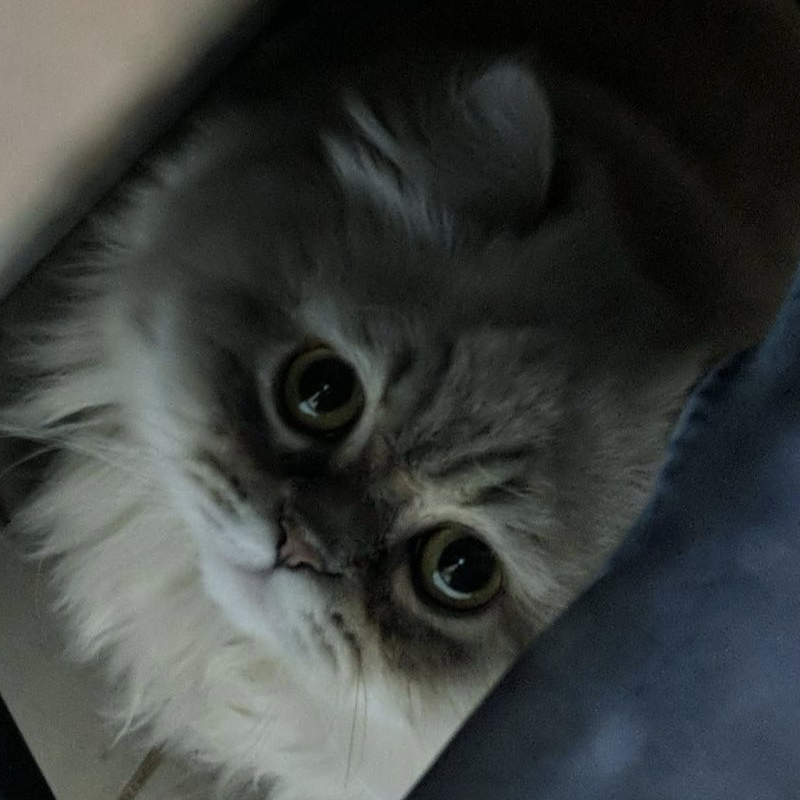 Salvador
